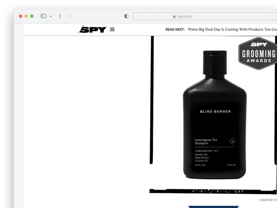 Spy | July 2023 by Herson Rodriguez on Blind Barber