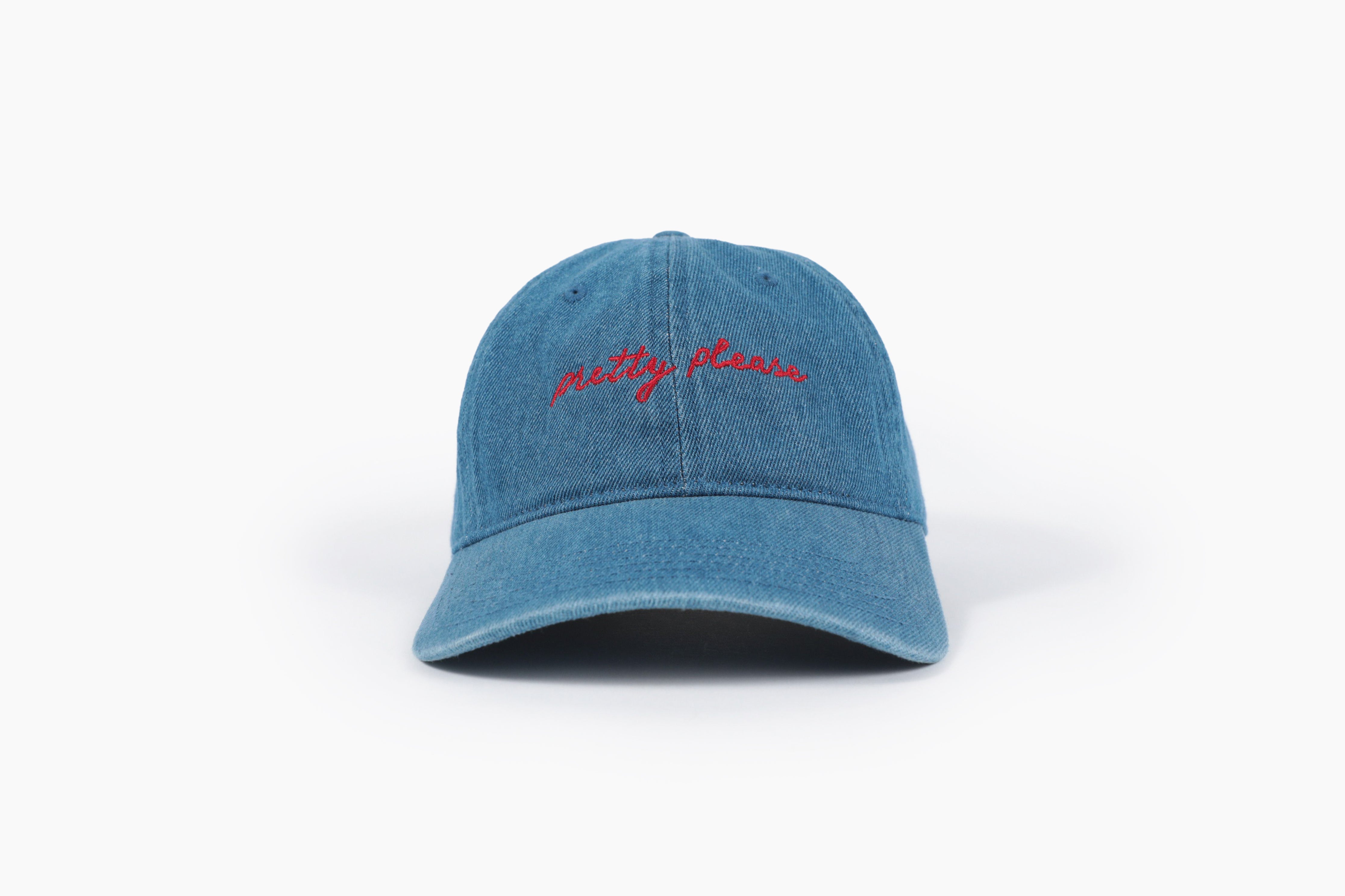 Pretty Please - Dad Hat by Blind Barber