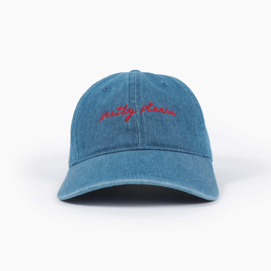 Pretty Please - Dad Hat by Blind Barber